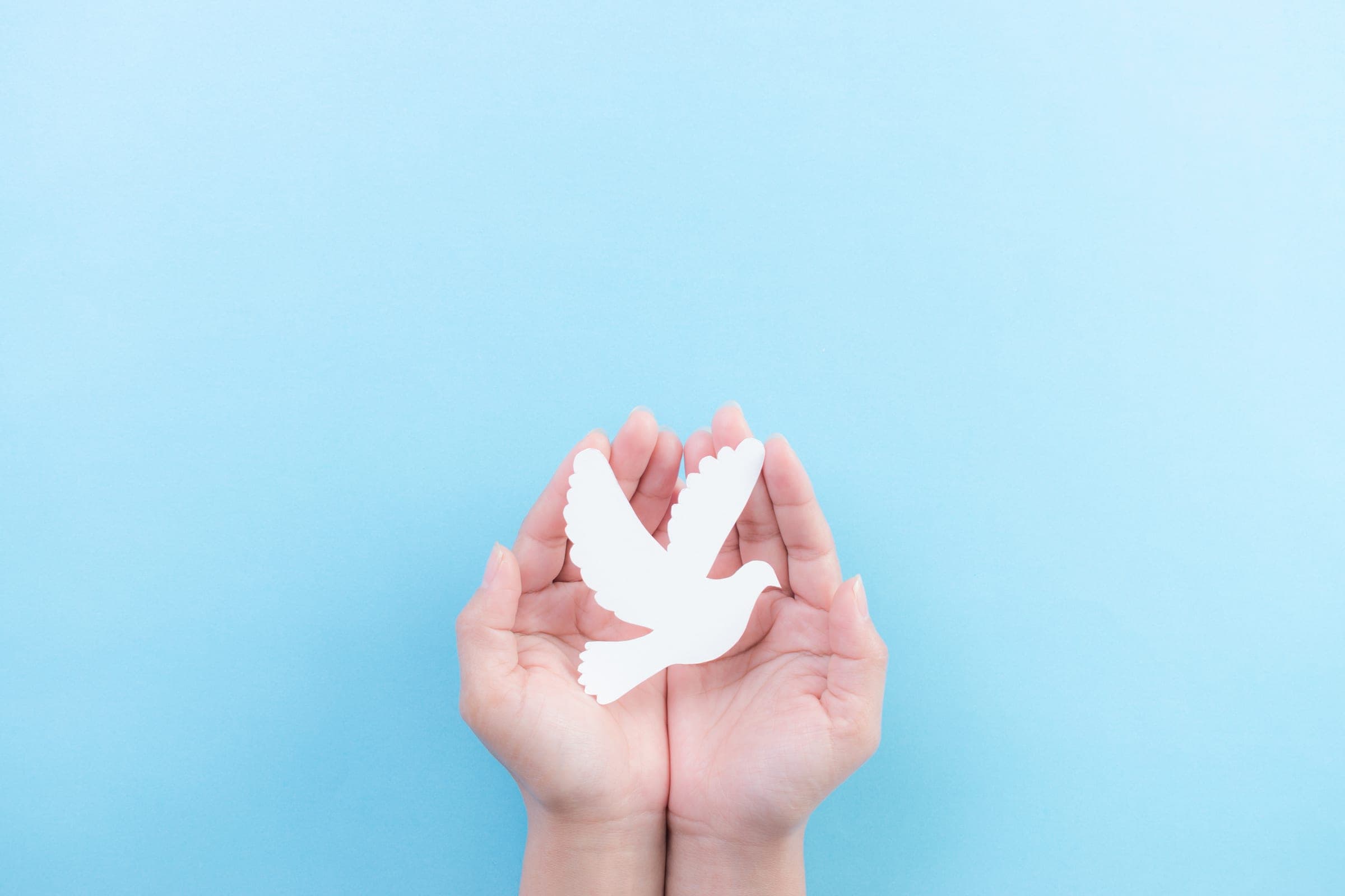 A white dove held in open hands against a blue sky